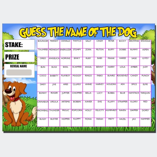 Fundraising Scratch card Game Predict the Dogs Name Fete Fayre A4 100 Names